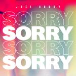 Joel-Corry---Sorry-1500px
